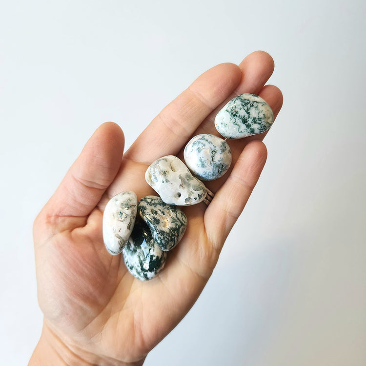 Tree Agate Tumbled Stones - Crystals and Me | Crystal Candles and Ethically Sourced Crystals