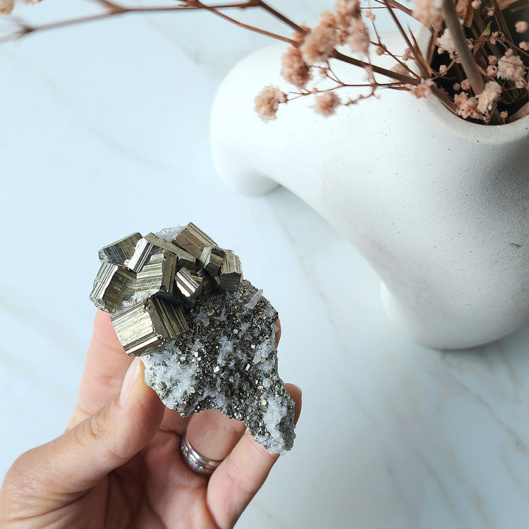 Pyrite Crystal Cubes in Quartz Cluster