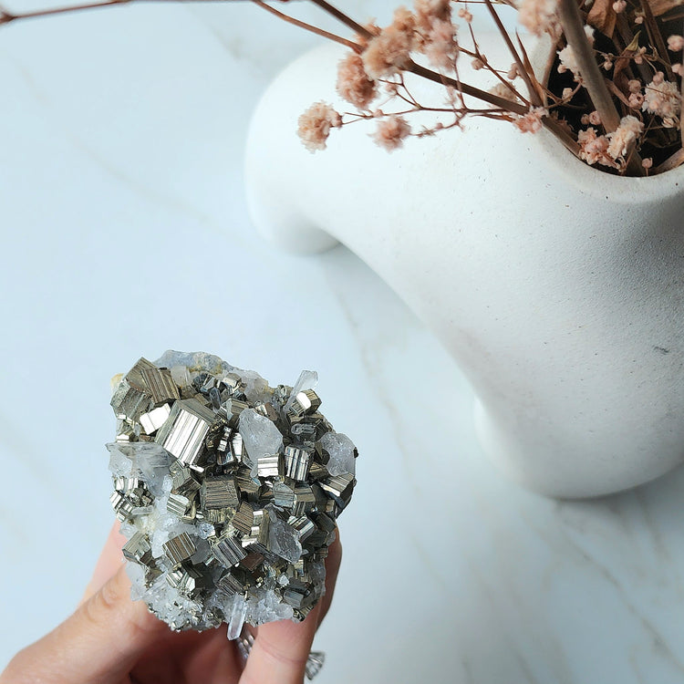 Pyrite Crystal Cubes in Quartz Cluster