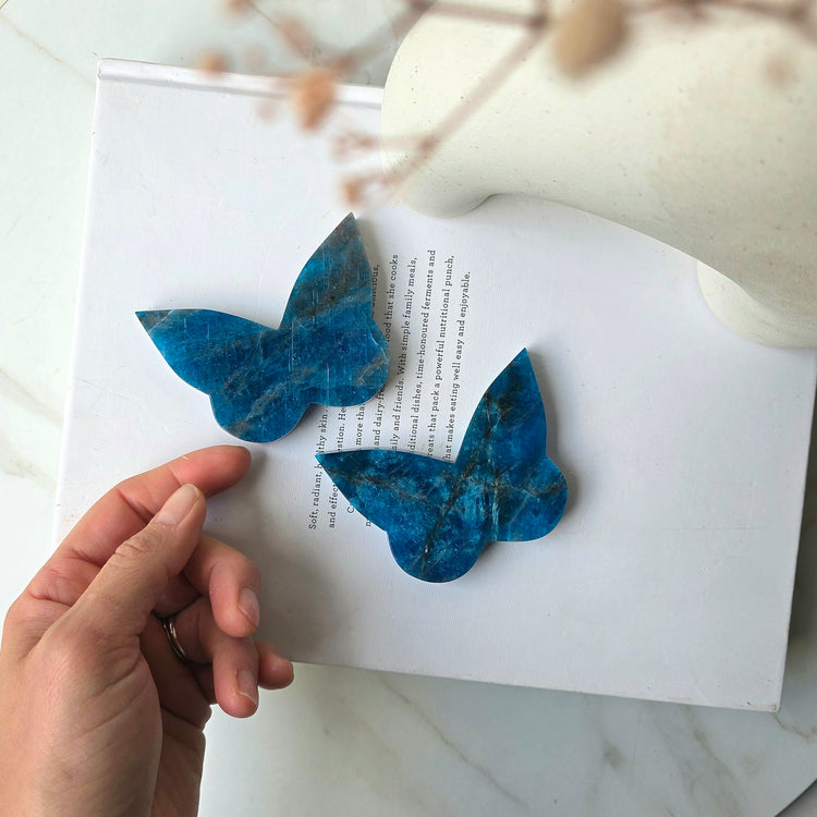 Apatite Crystal Butterfly