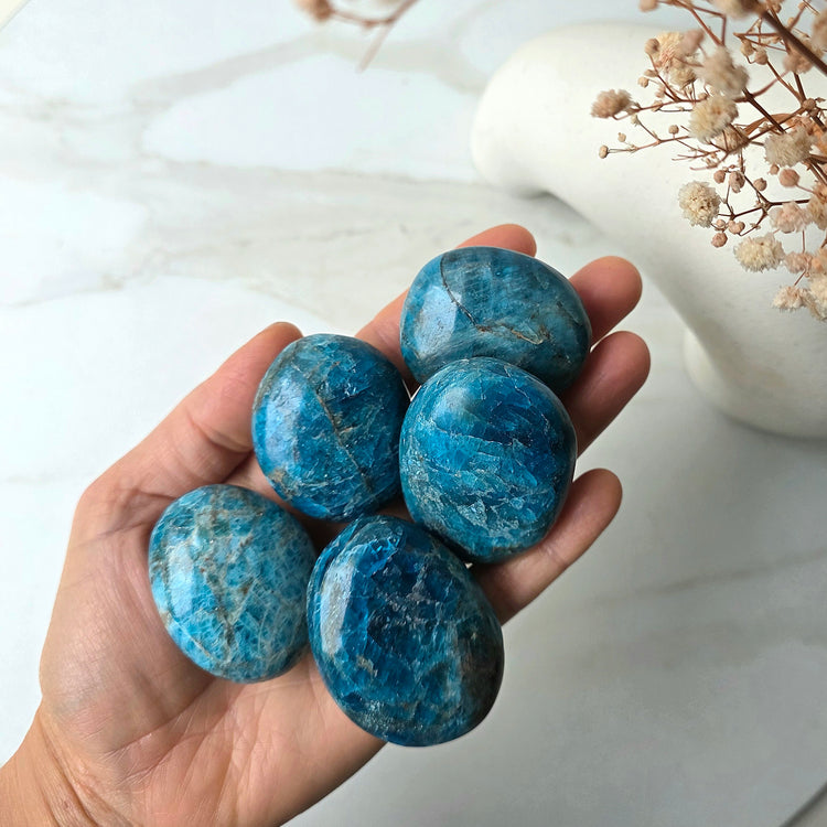 Blue Apatite Crystal Palm Stone