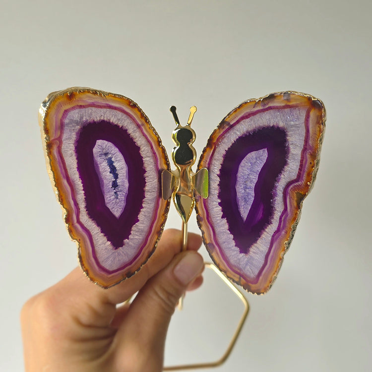 Purple Agate Crystal Butterfly Gold Edge on Stand