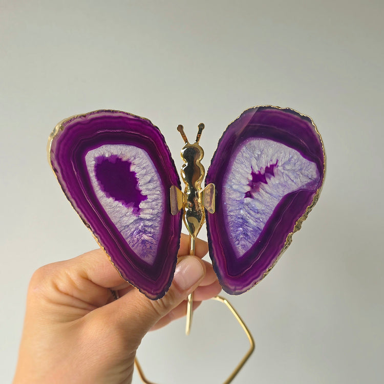 Purple Agate Crystal Butterfly Gold Edge on Stand