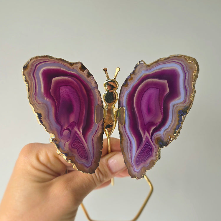Purple Agate Crystal Butterfly Gold Edge on Stand