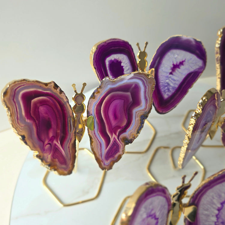 Purple Agate Crystal Butterfly Gold Edge on Stand