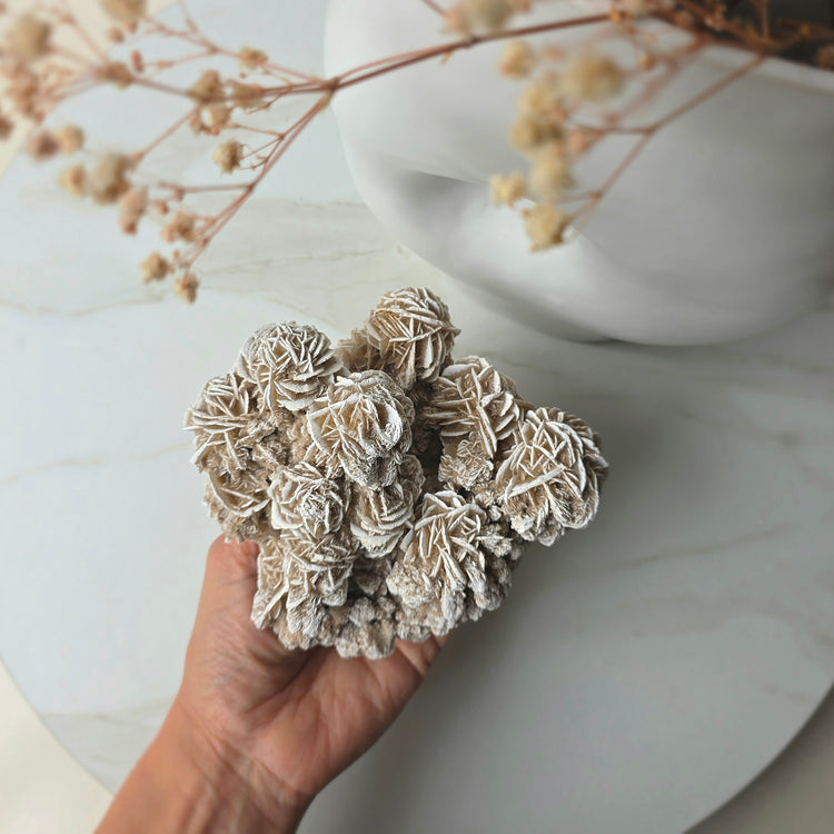 Desert Rose Crystal Cluster High Quality Mexico