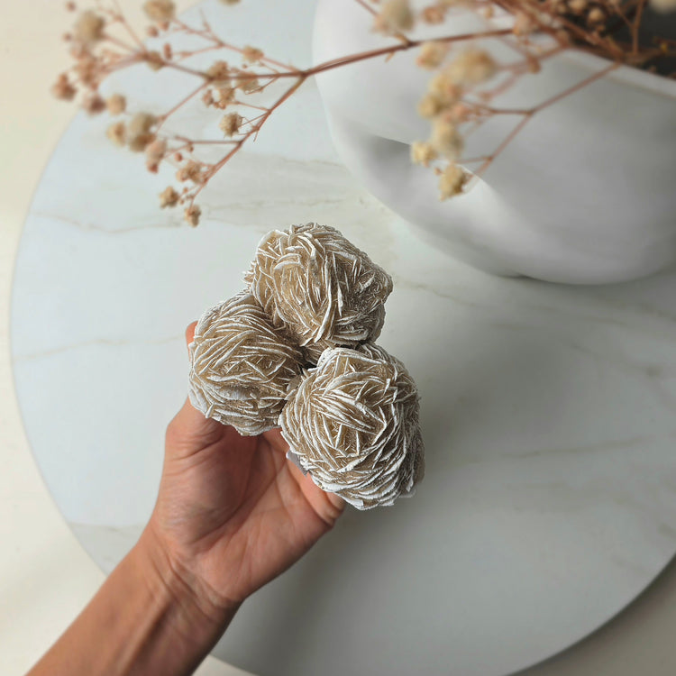 Desert Rose Crystal Cluster High Quality Mexico