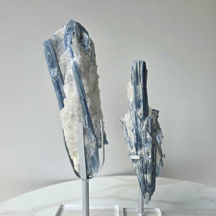 Blue Kyanite Crystal in Quartz on Stand