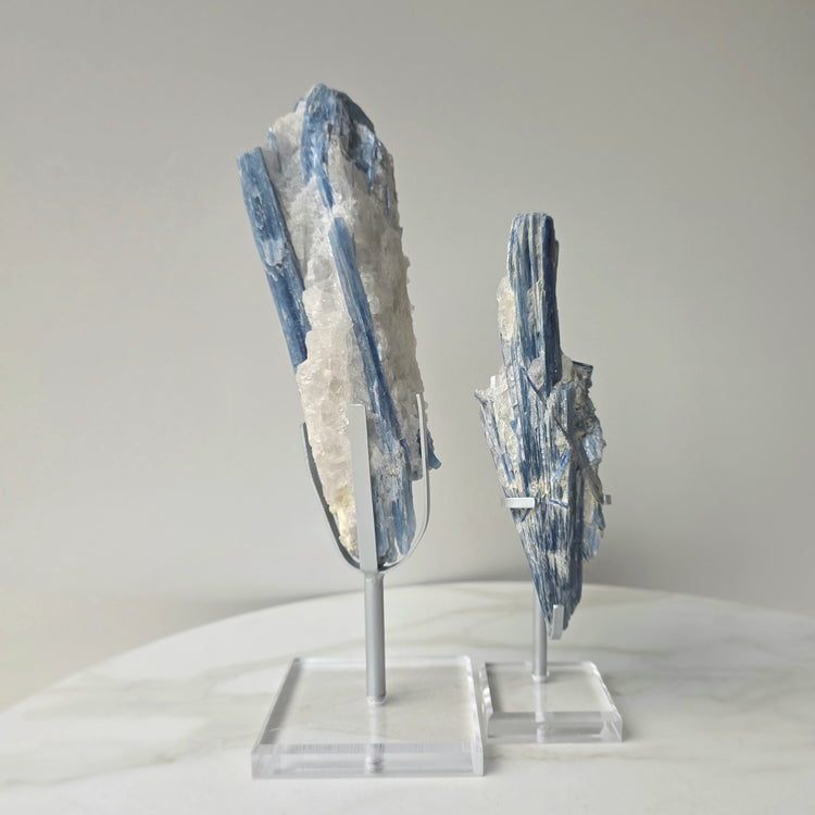 Blue Kyanite Crystal in Quartz on Stand