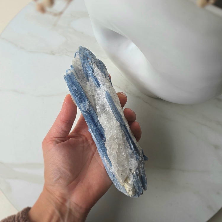 Blue Kyanite Crystal in Quartz on Stand
