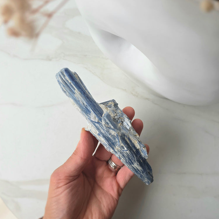 Blue Kyanite Crystal in Quartz on Stand