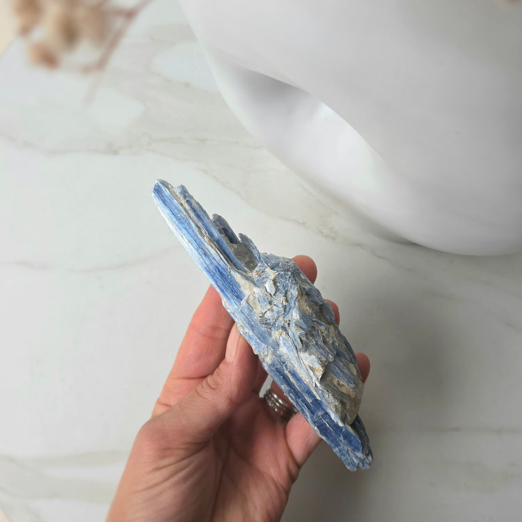 Blue Kyanite Crystal in Quartz on Stand