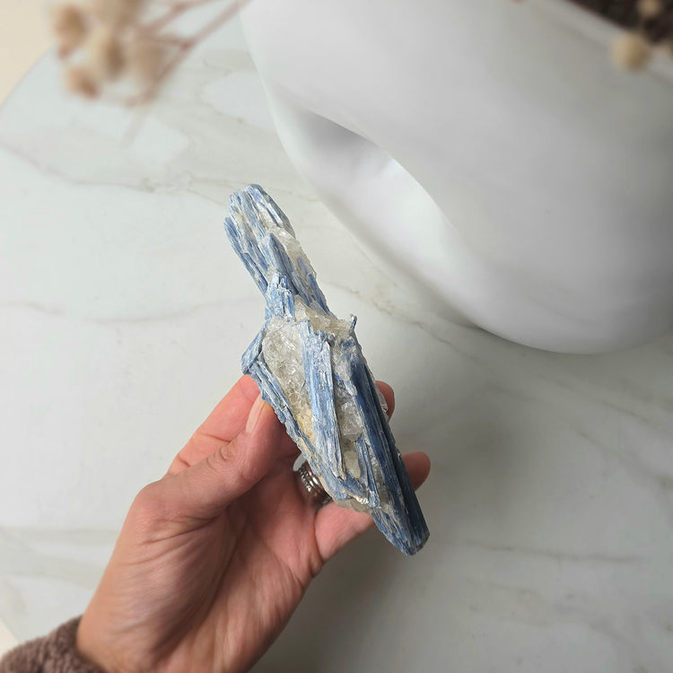 Blue Kyanite Crystal in Quartz on Stand