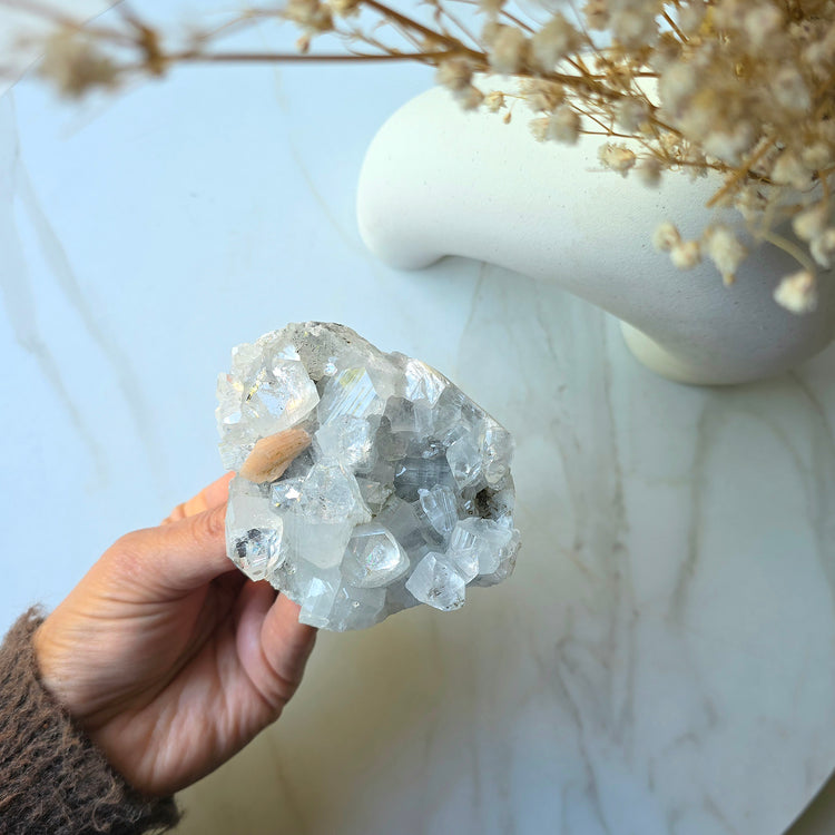 Rare Diamond Apophyllite Crystal Cluster High Quality India