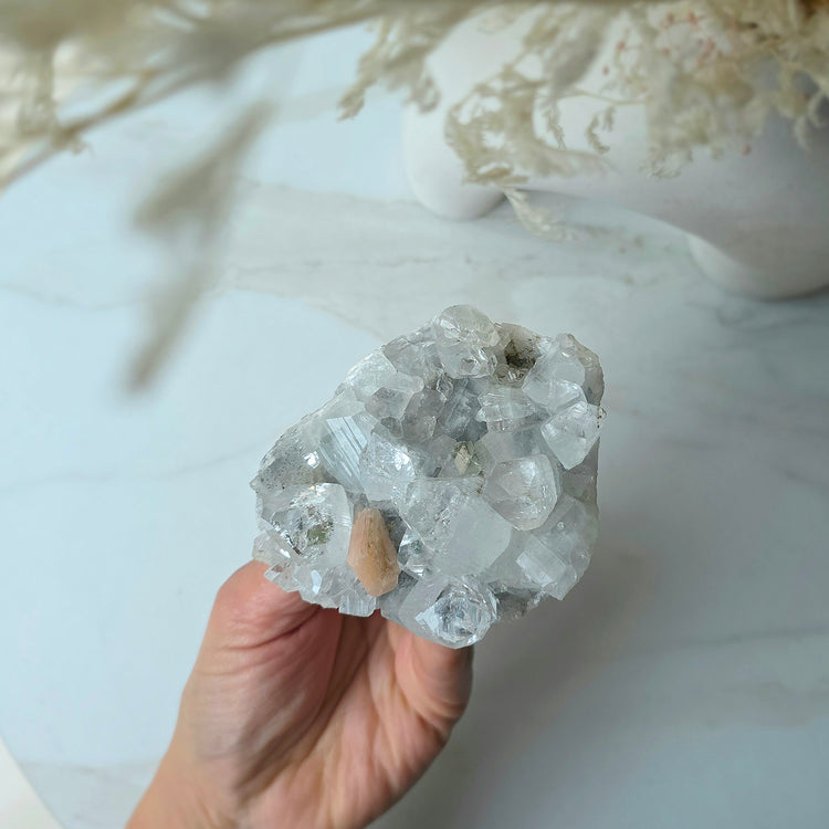 Rare Diamond Apophyllite Crystal Cluster High Quality India