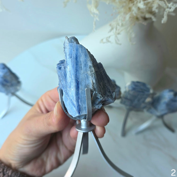 Blue Kyanite Crystal Cluster High Quality Brazil Small