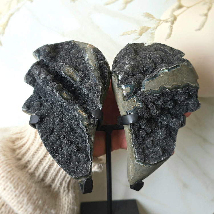 Rare Black Galaxy Amethyst Angel Wings Cluster on Stand