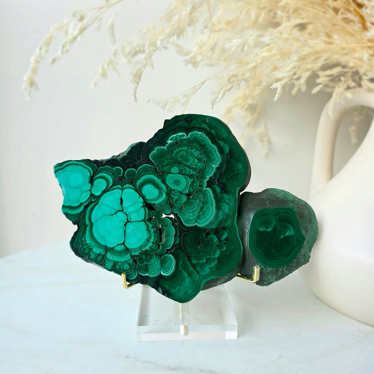 Malachite Crystal Polished Slab Slice Congo High Quality on Stand