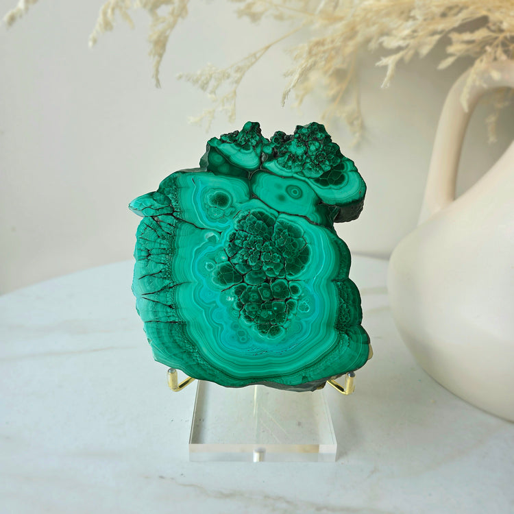 Malachite Crystal Polished Slab Slice Congo High Quality on Stand