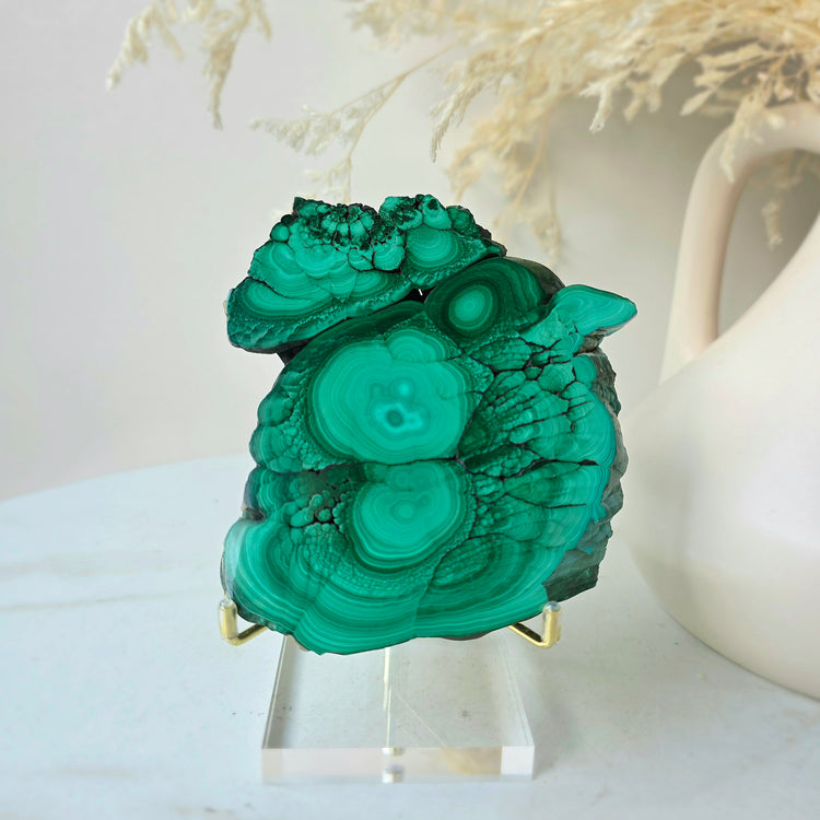 Malachite Crystal Polished Slab Slice Congo High Quality on Stand