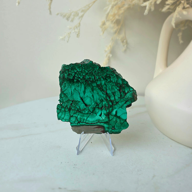 Malachite Crystal Polished Slab Slice Congo High Quality on Stand