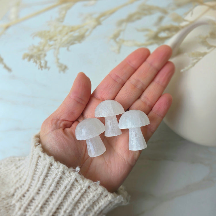 Selenite Crystal Mini Mushroom