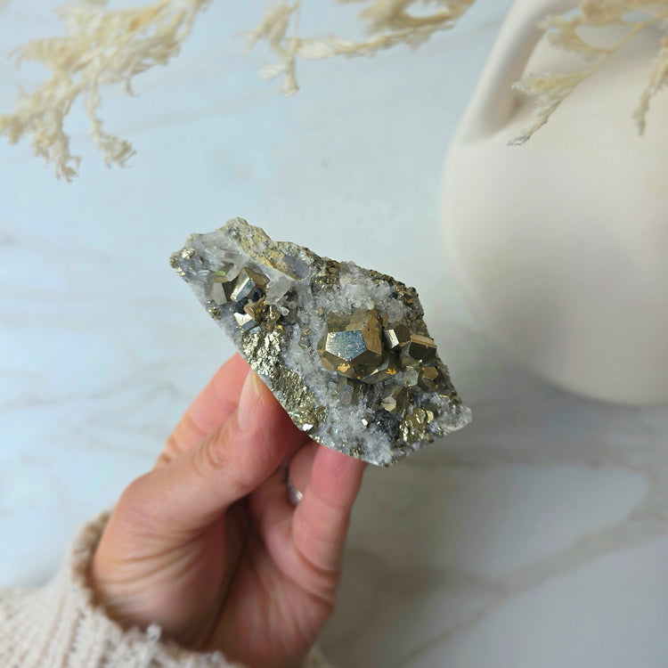 Pyrite Crystal Cube Cluster in Quartz