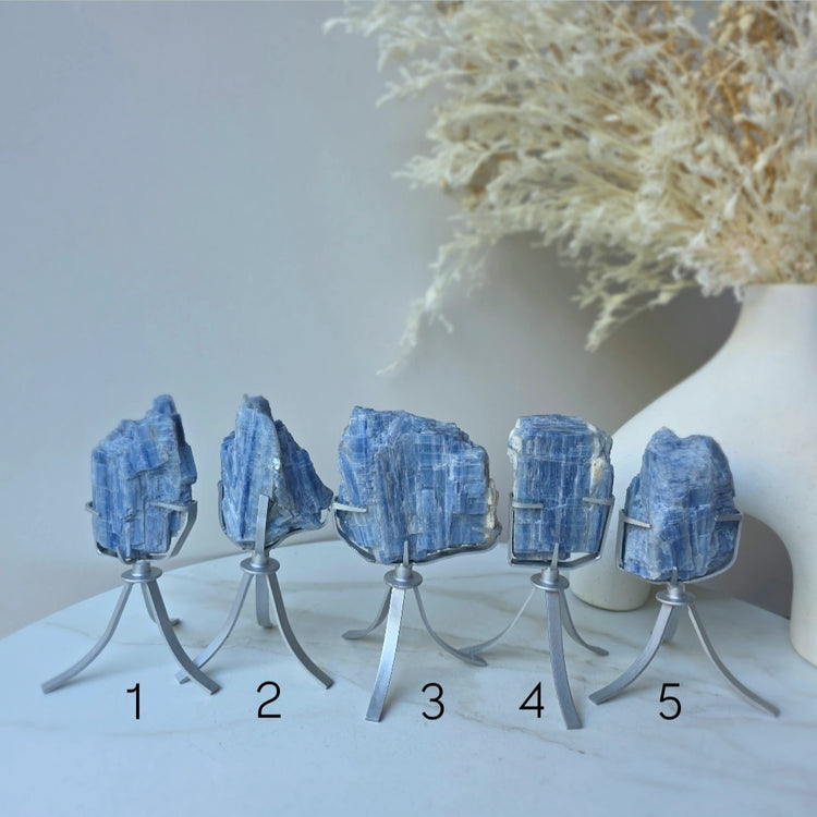Blue Kyanite Crystal Cluster High Quality Brazil Small