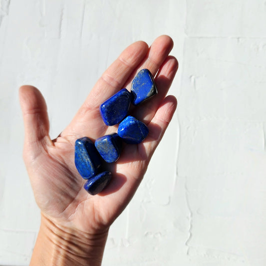 Lapis Lazuli Tumbled Stones - Crystalsandme