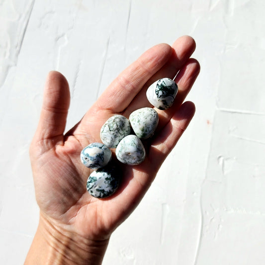Tree Agate Tumbled Stones - Crystalsandme
