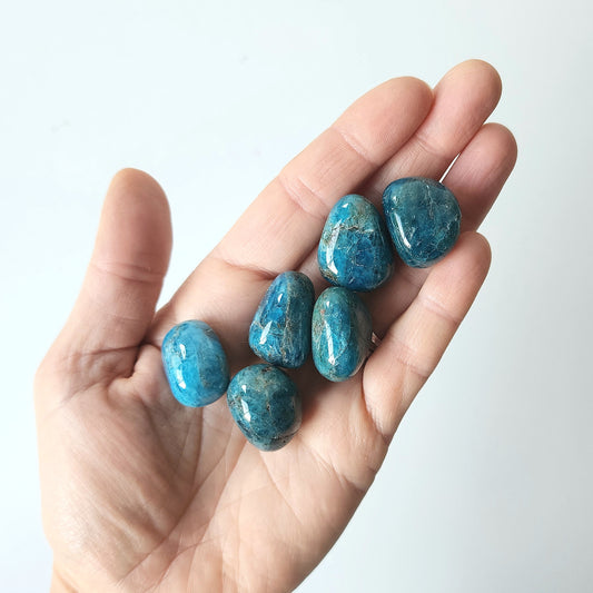 Apatite Crystal Tumbled Stone