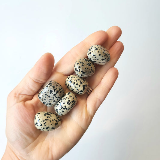 Jasper Dalmatian Tumbled Stone - Crystals and Me | Crystal Candles and Ethically Sourced Crystals