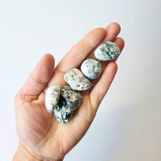 Tree Agate Tumbled Stones - Crystals and Me | Crystal Candles and Ethically Sourced Crystals