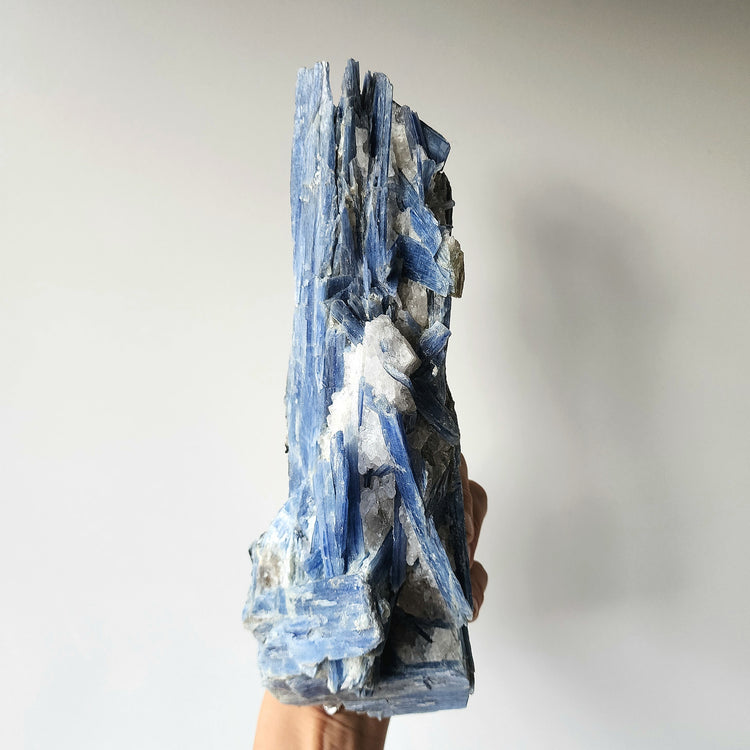 Blue Kyanite Crystal Free-Standing XL Cluster