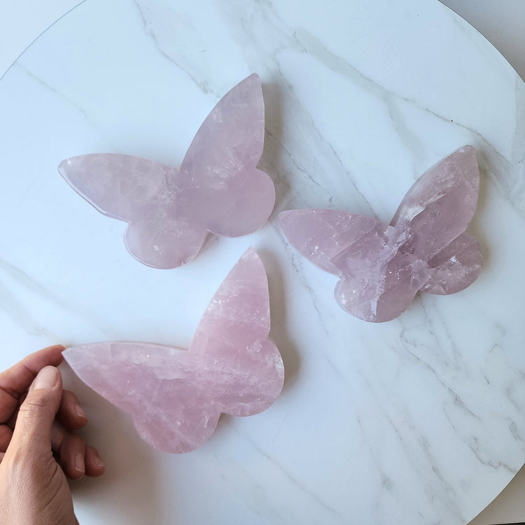 Rose Quartz Carved Crystal Butterfly XL AA