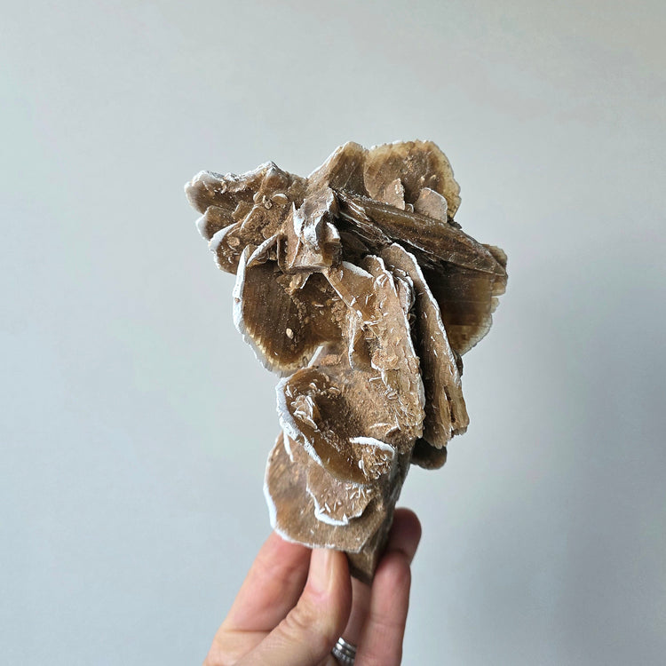Desert Rose Crystal Cluster High Quality Free-Standing