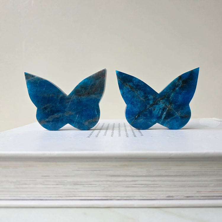 Apatite Crystal Butterfly