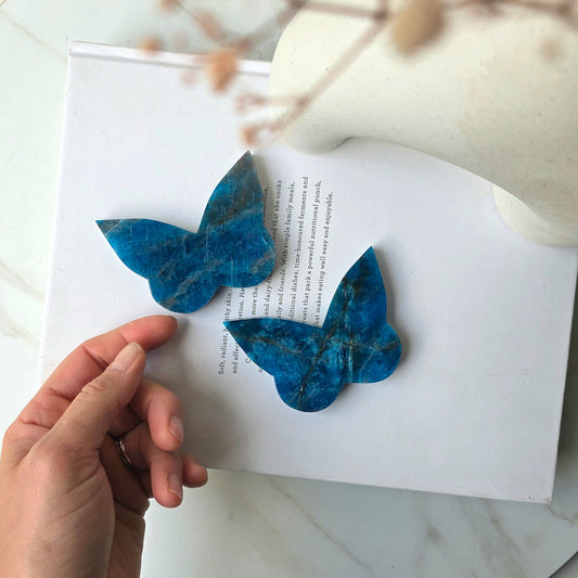 Apatite Crystal Butterfly