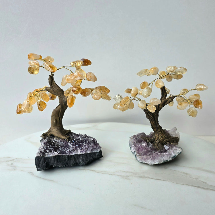 Crystal Bonsai Tree Medium