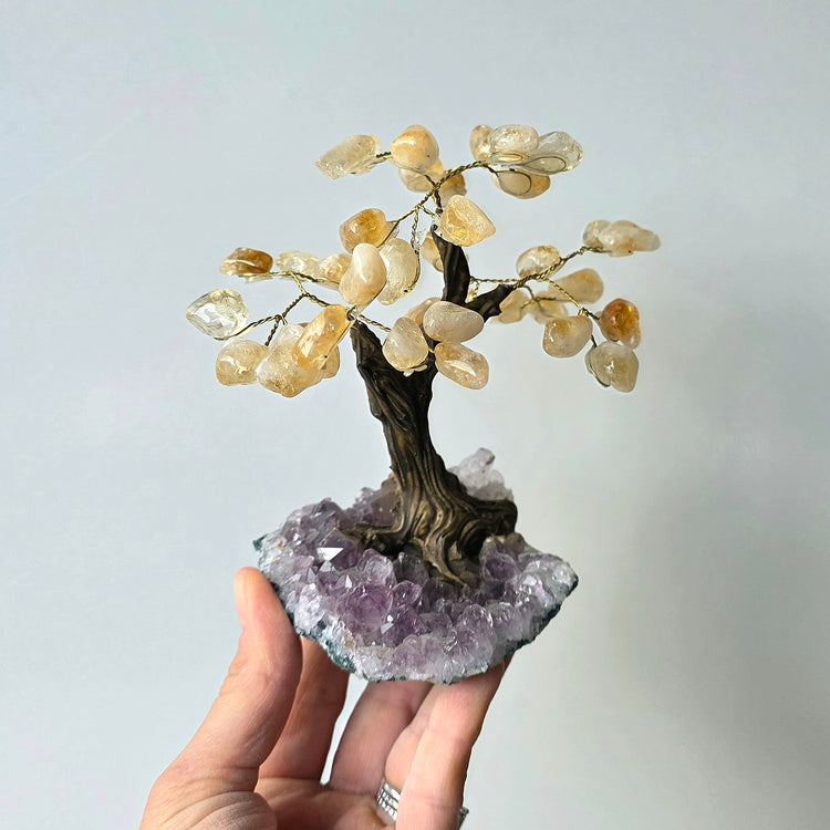 Crystal Bonsai Tree Medium