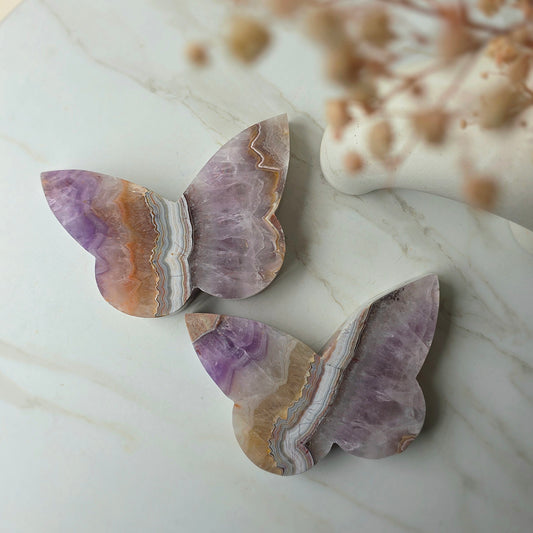 Amethyst Crystal with Lace Agate Butterfly XL