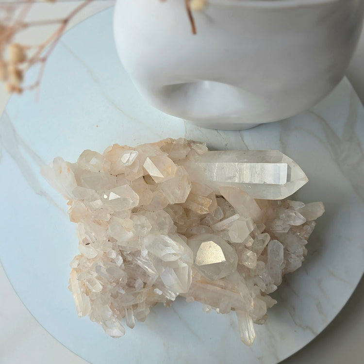 Clear Quartz Crystal Cluster XL Statement