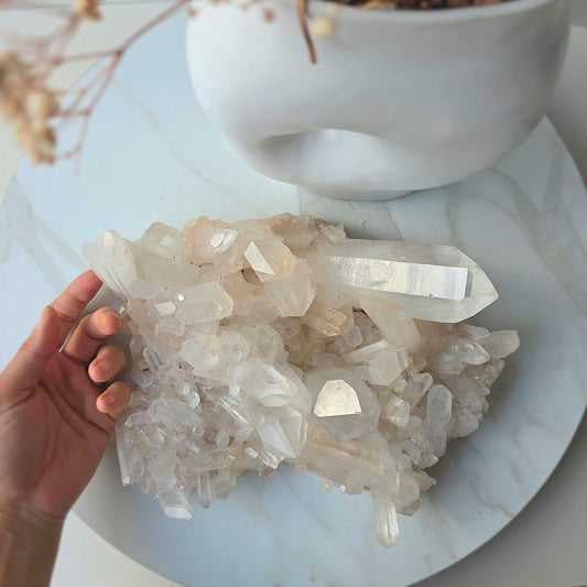 Clear Quartz Crystal Cluster XL Statement