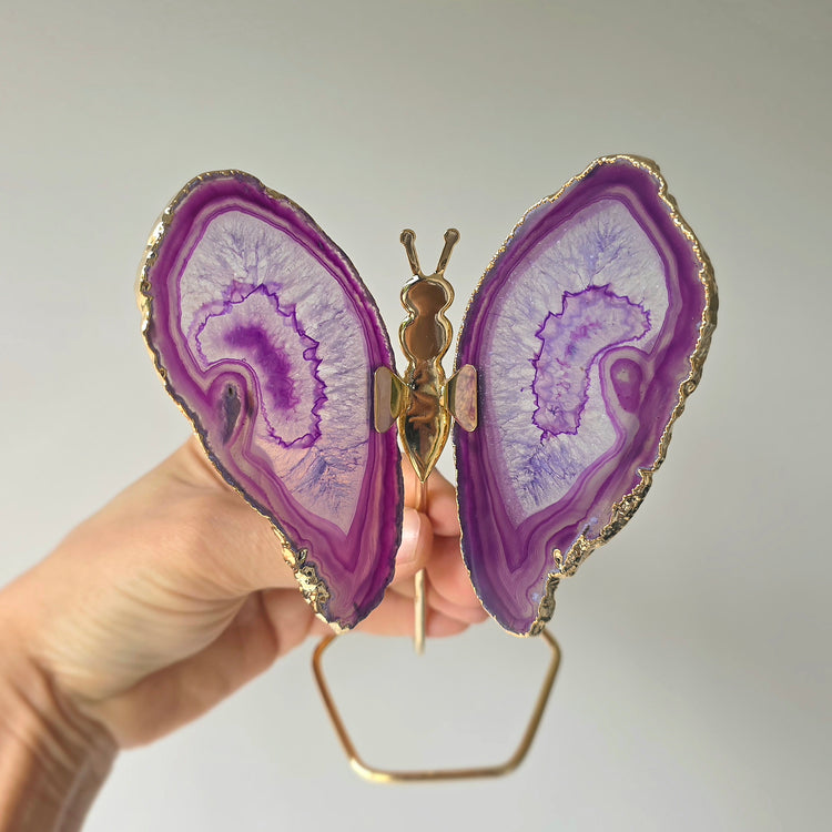 Purple Agate Crystal Butterfly Gold Edge on Stand