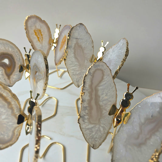 White Agate Crystal Butterfly Gold Edge on Stand