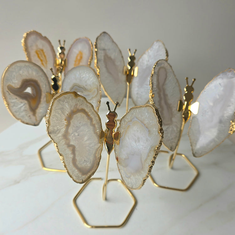 White Agate Crystal Butterfly Gold Edge on Stand