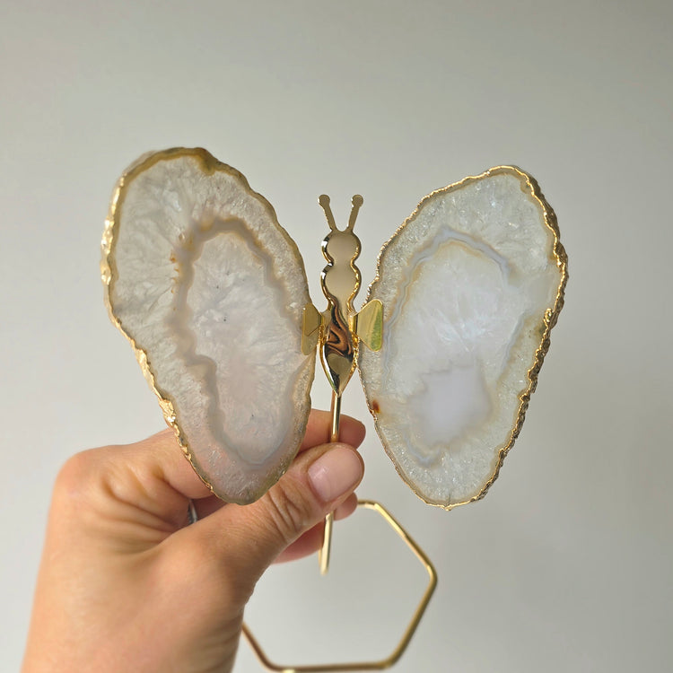 White Agate Crystal Butterfly Gold Edge on Stand