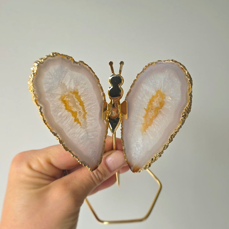 White Agate Crystal Butterfly Gold Edge on Stand