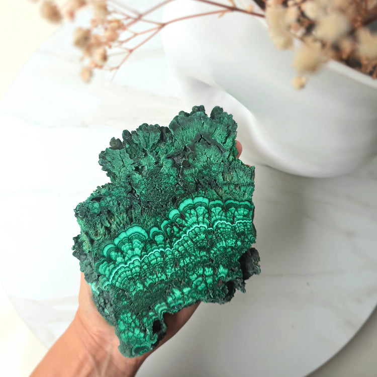 Malachite Crystal Slab Slice Congo