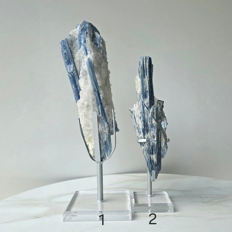 Blue Kyanite Crystal in Quartz on Stand